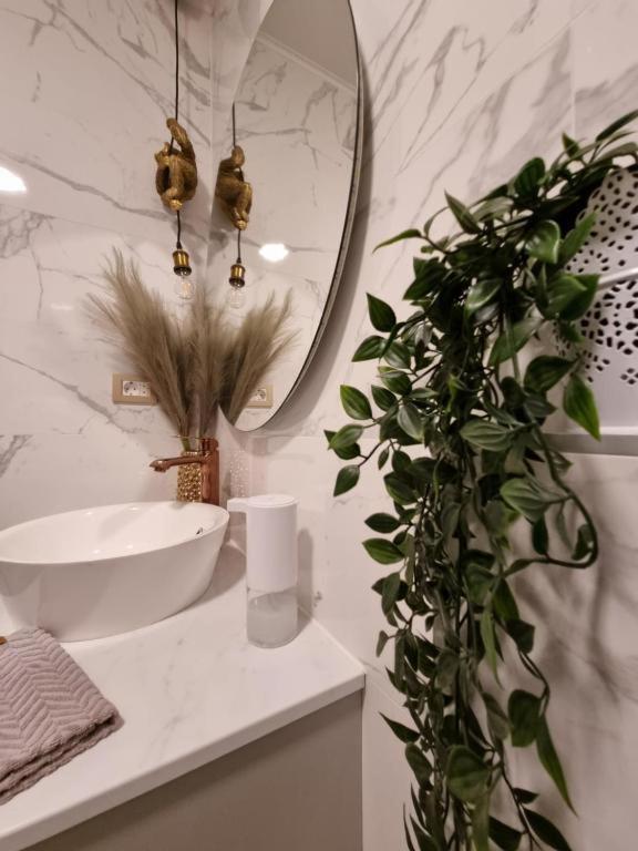 Apartment Amour Luxe Split Exteriér fotografie